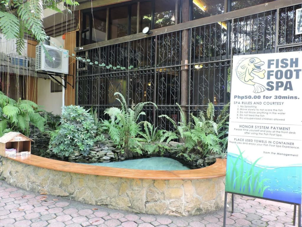 Hotel photo 15