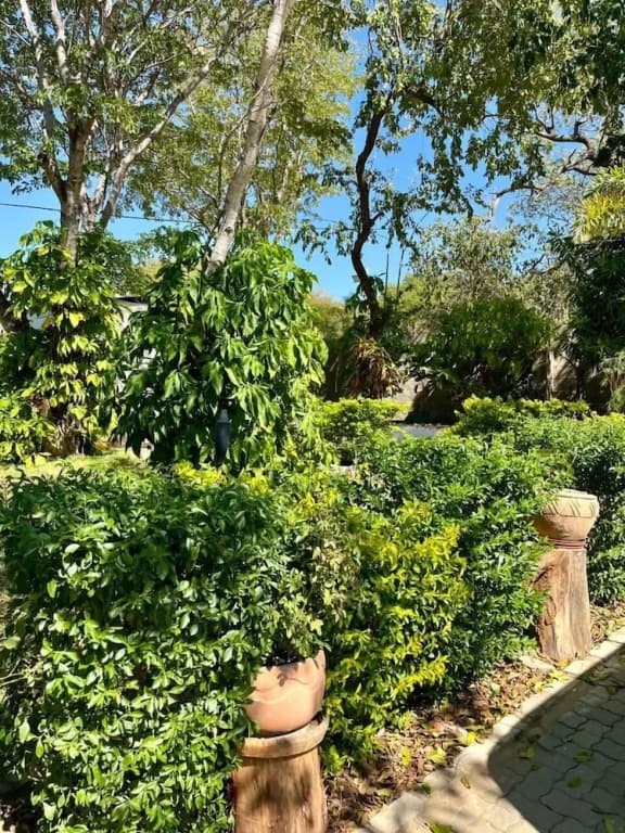 Hotel photo 32