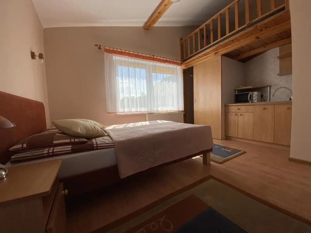 Standard Double room full double bed