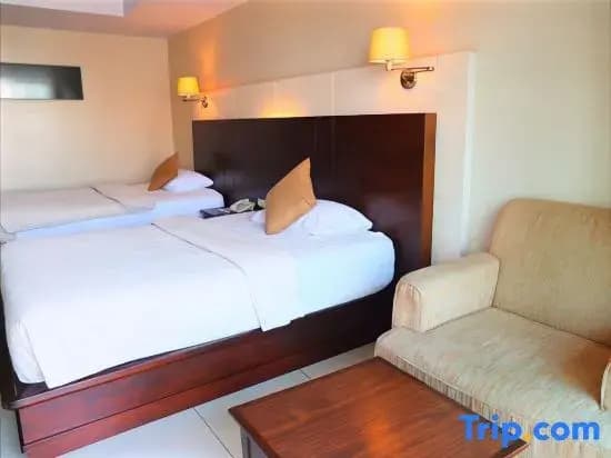 Superior Double room with city view twin beds
