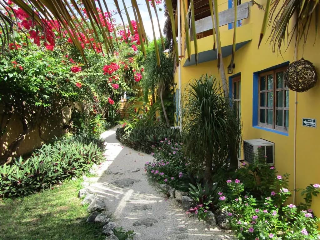 Hotel photo 10