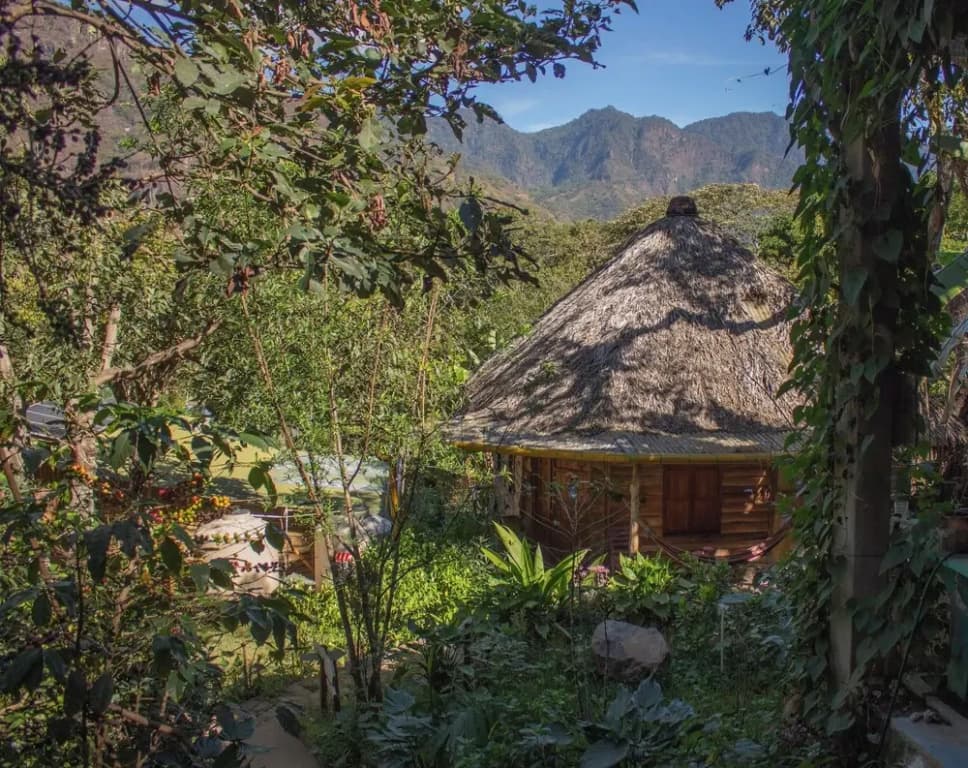 1 Bedroom Standard room with garden view