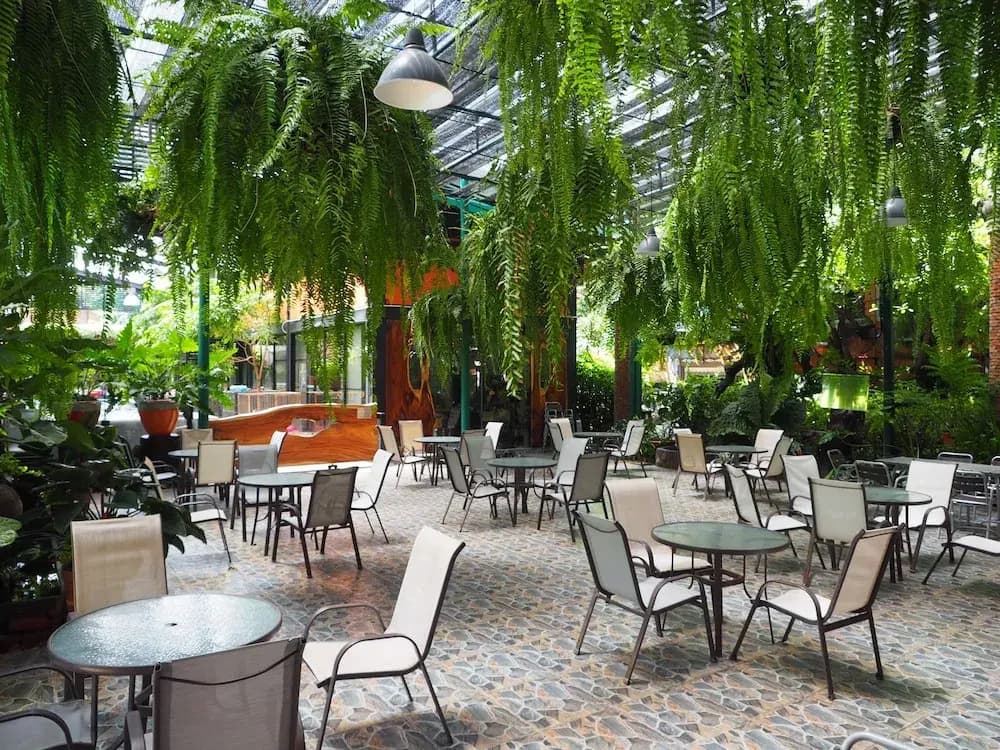 Hotel photo 29