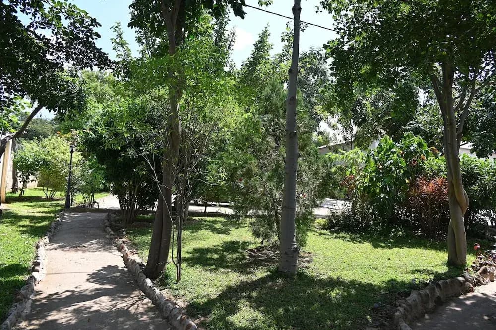 Hotel photo 25