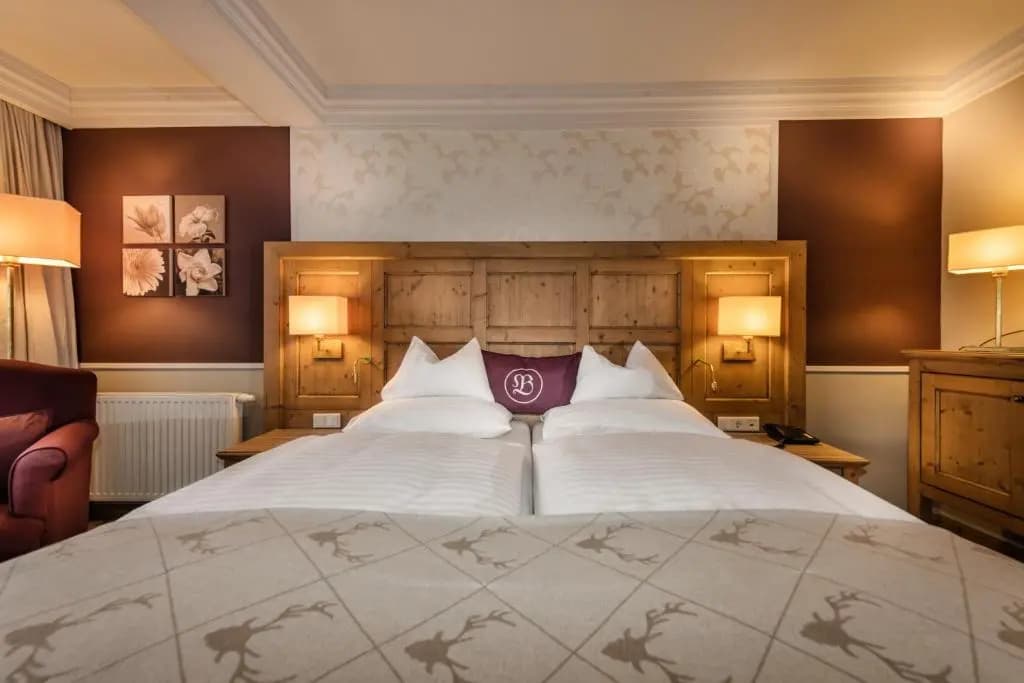 Standard Double room with mountain view full double bed