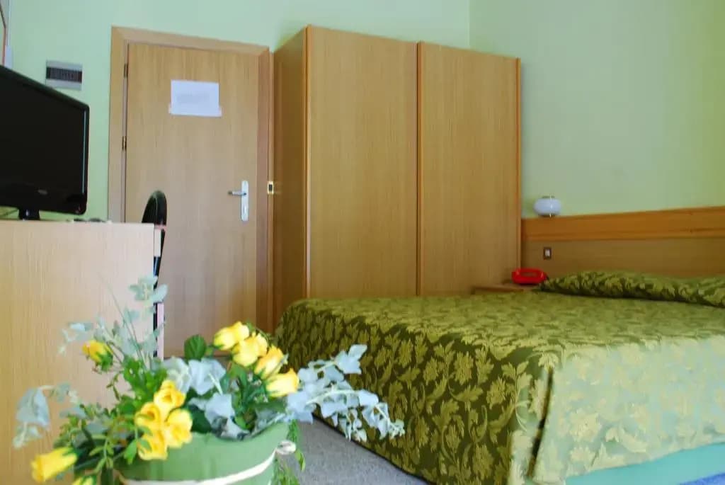 Standard Double room full double bed
