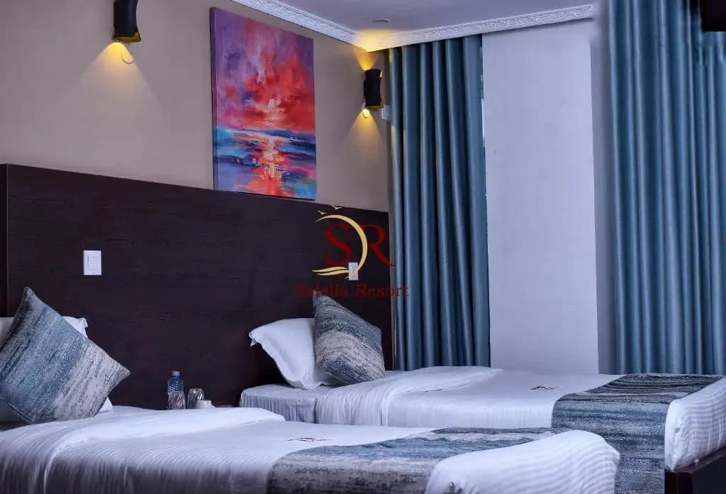 Deluxe Double room twin beds