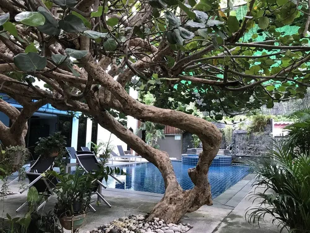 Hotel photo 27
