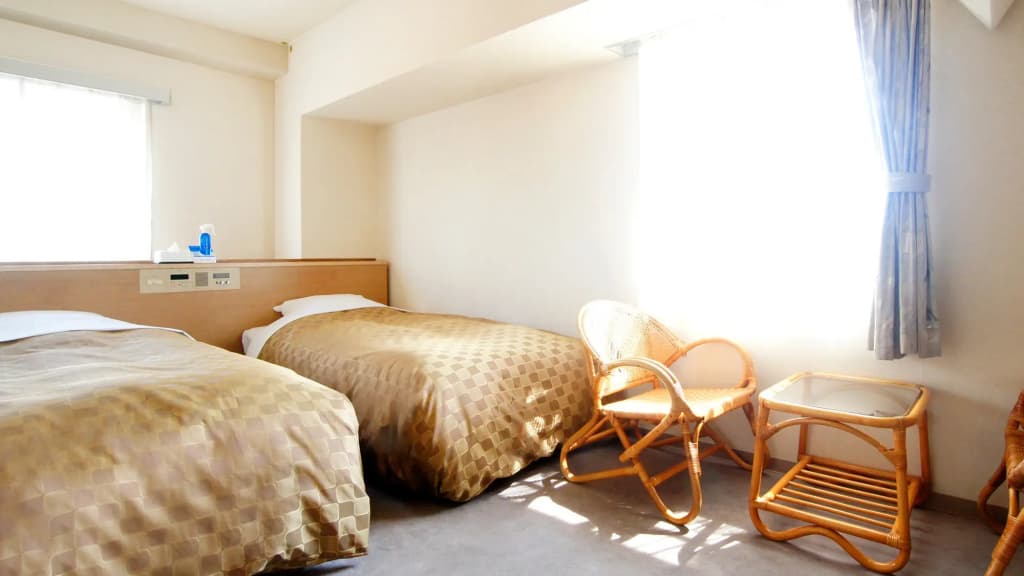 Standard Double room twin beds