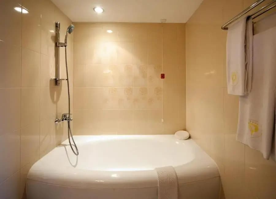 Standard Double room full double bed