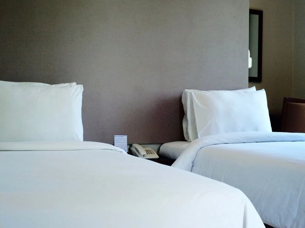Deluxe Double room twin beds