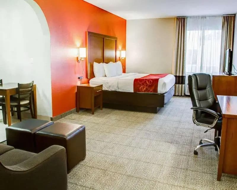 Standard Suite