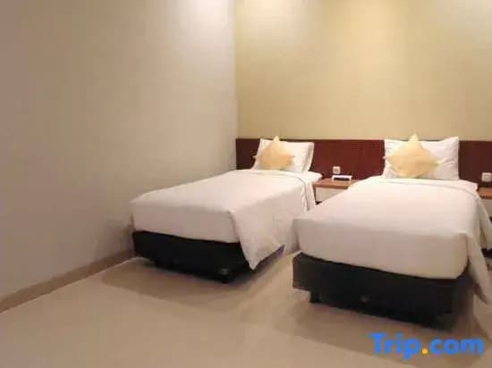 Standard Double room with city view full double bed