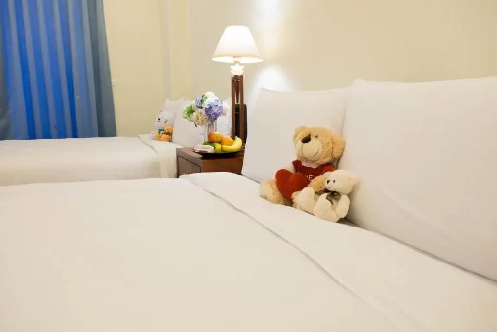 Standard Double room full double bed