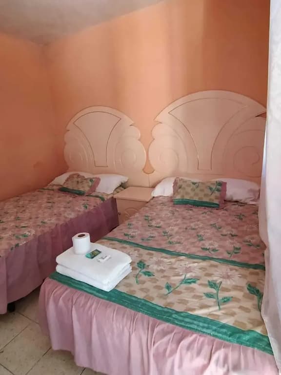 Classic Double room with balcony twin beds