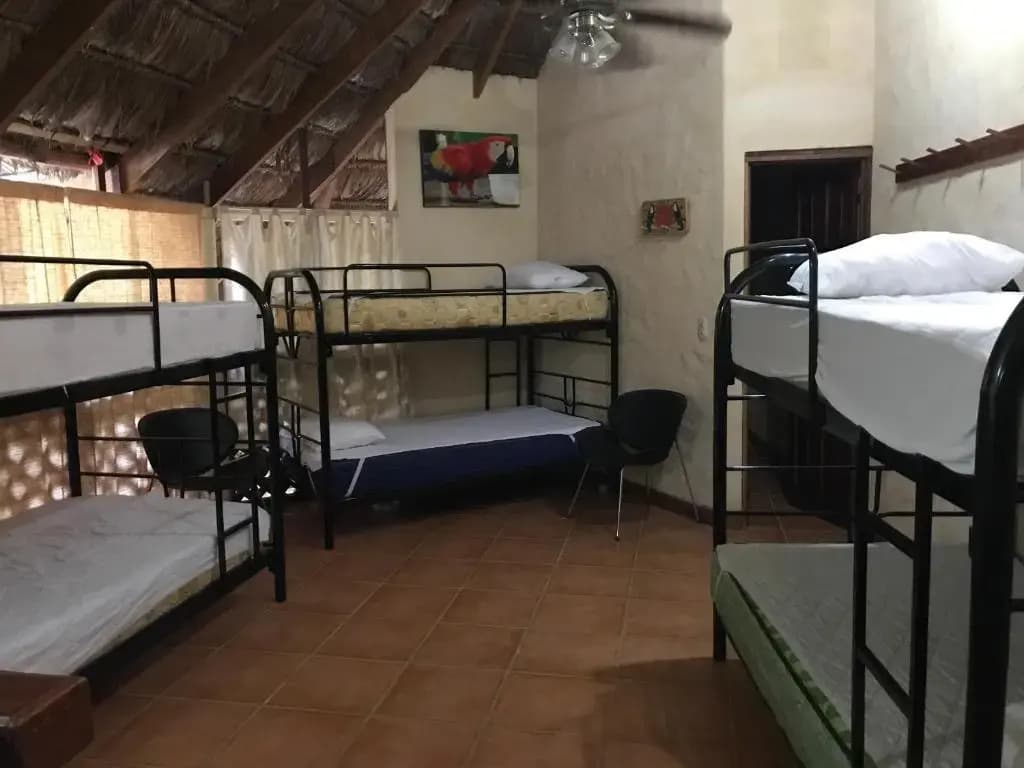 Hotel photo 32