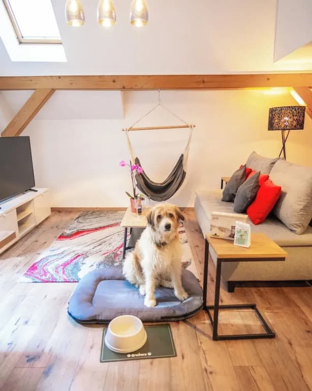 1 Bedroom Apartment with balcony