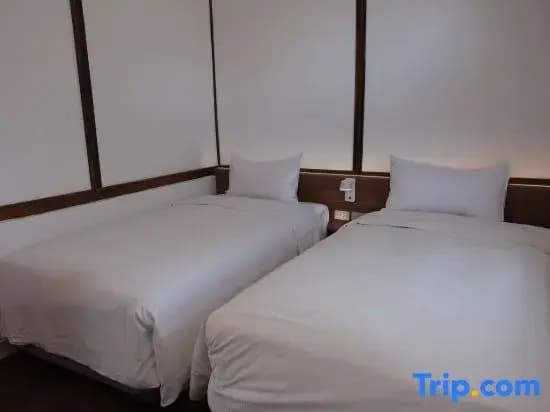 Classic Double room twin beds