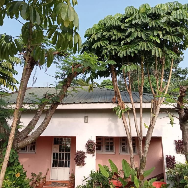 Standard Cottage
