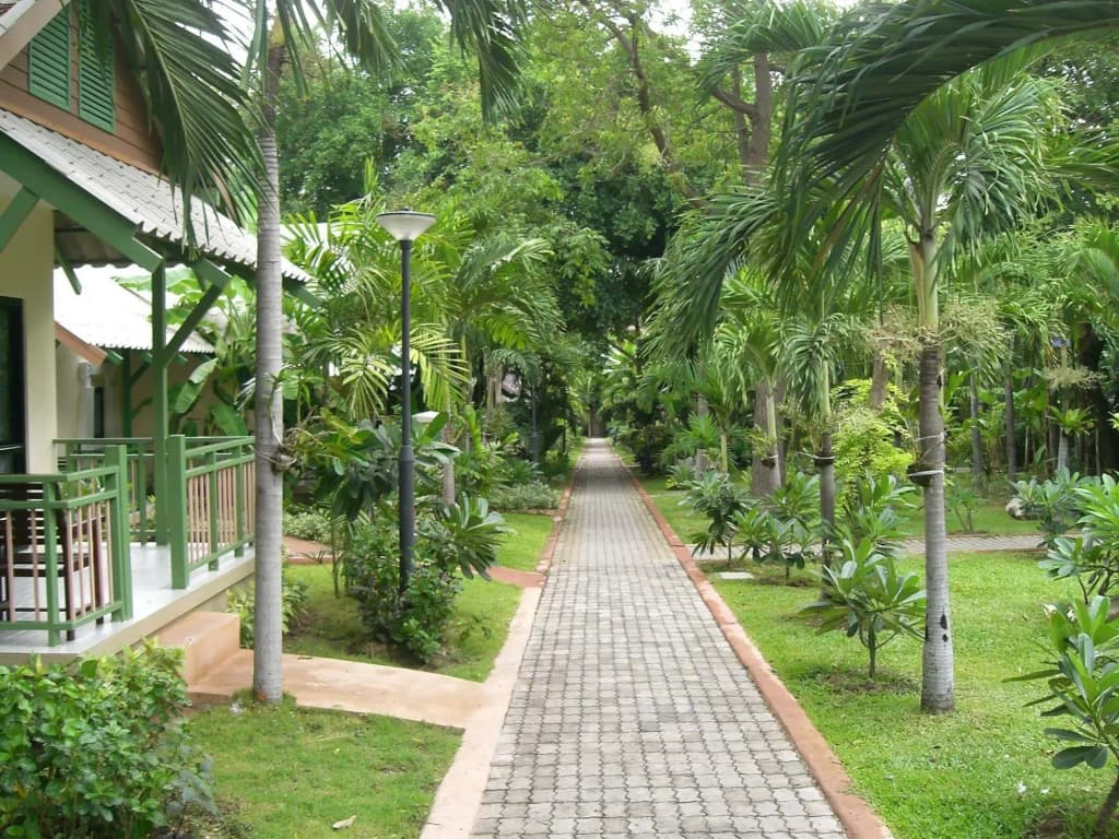Hotel photo 19