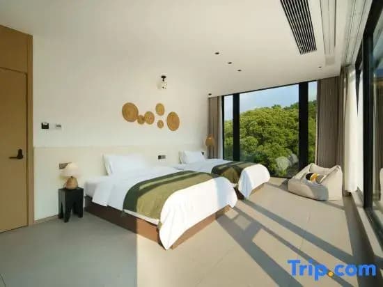 Standard Double room with mountain view twin beds