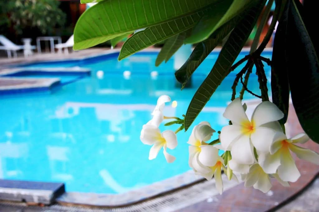 Hotel photo 33
