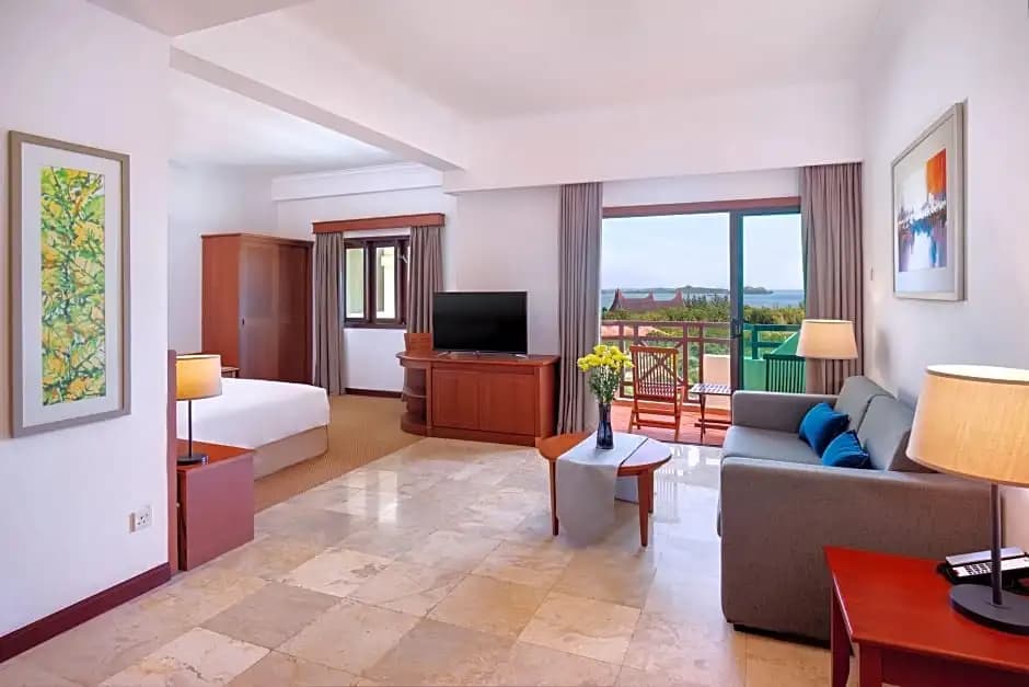 1 Bedroom Deluxe Suite