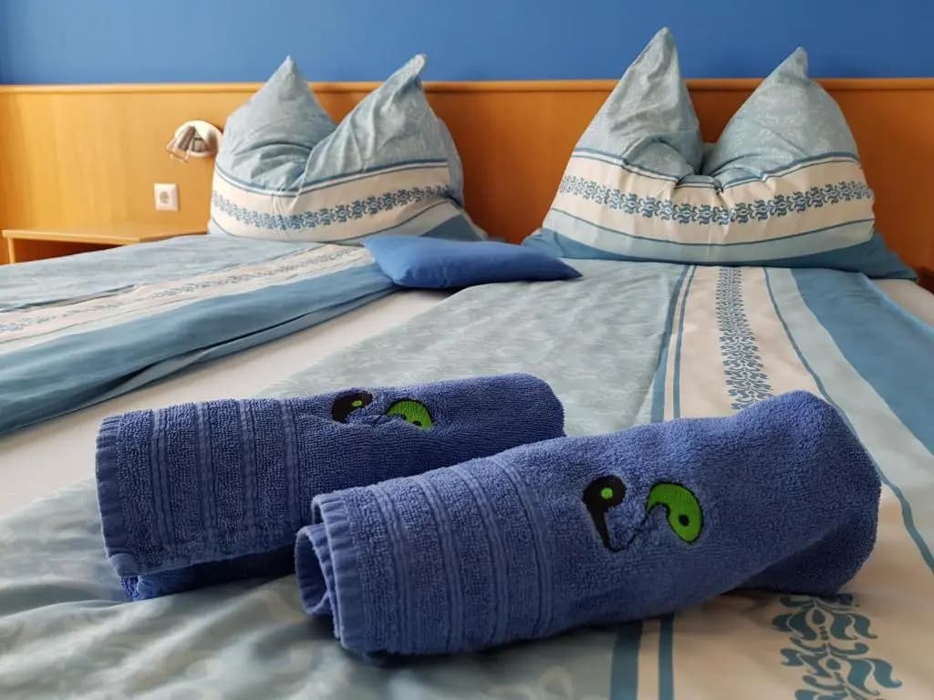 Standard Double room with balcony full double bed
