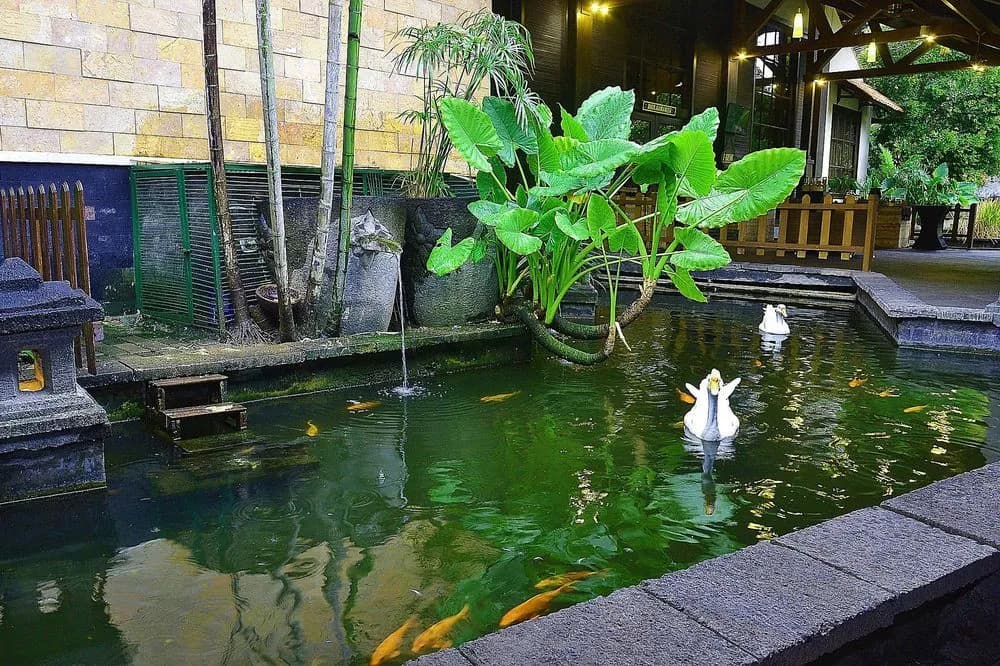 Hotel photo 18