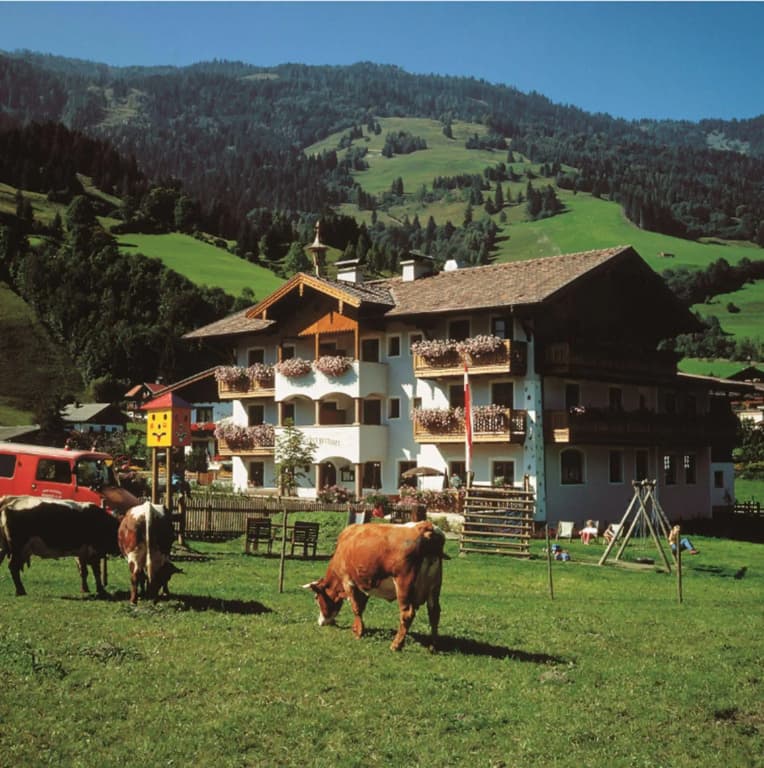 Hotel photo 45