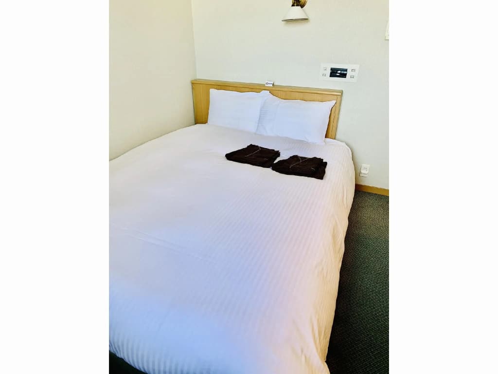 Standard Double room full double bed