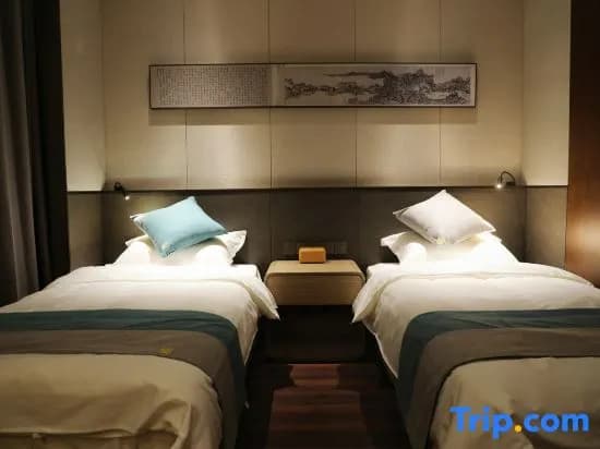 Standard Double room with balcony twin beds