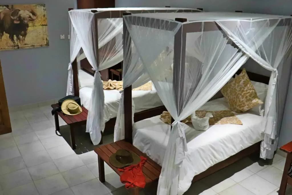 Hotel photo 21