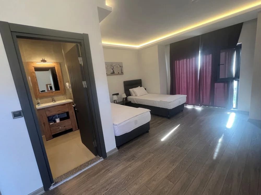 Standard Double room with garden view twin beds