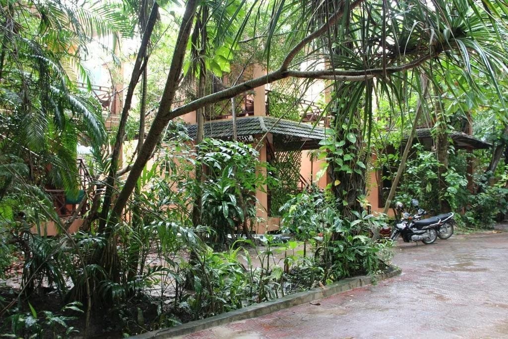 Hotel photo 11