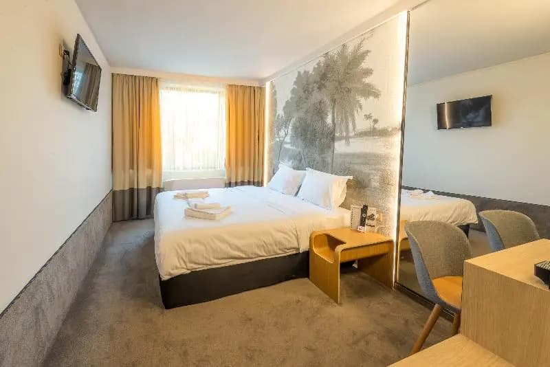 Standard Single room with park view