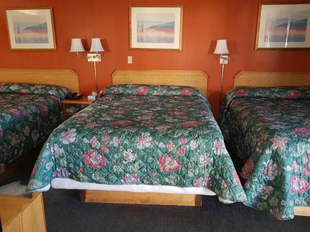 Standard Double room full double bed