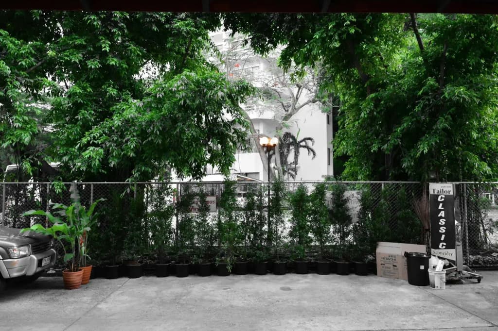 Hotel photo 26
