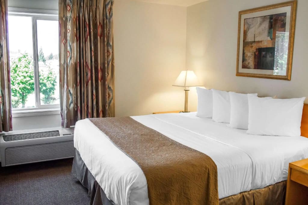 1 Bedroom Suite