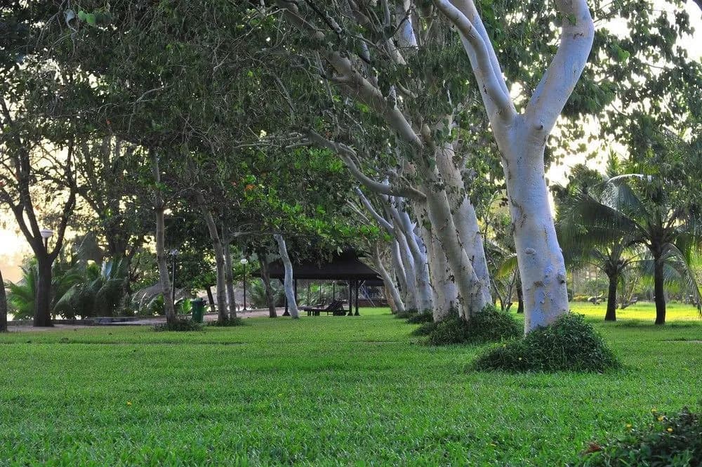 Hotel photo 28