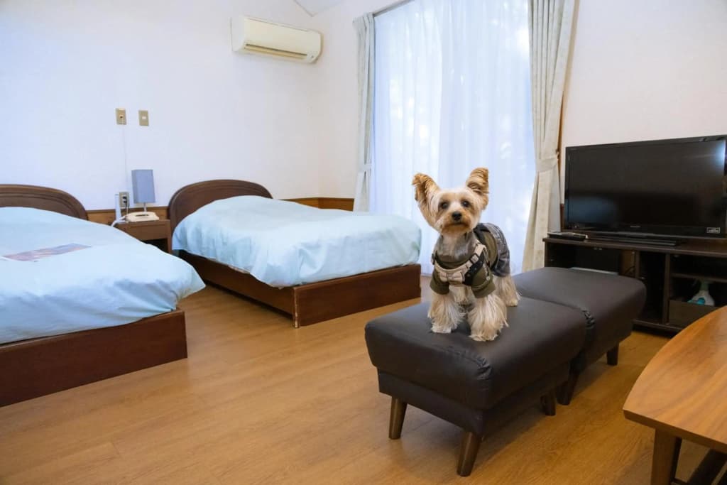 Hotel photo 3