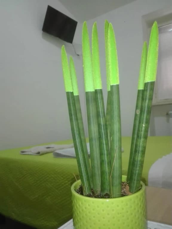 Hotel photo 35