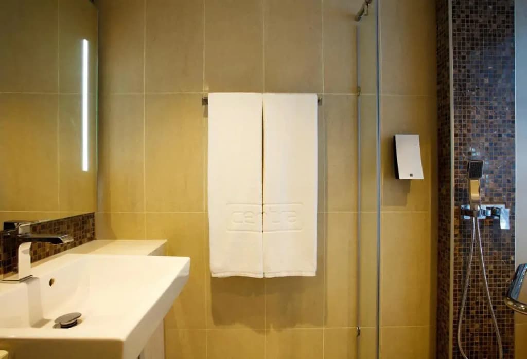 Hotel photo 10