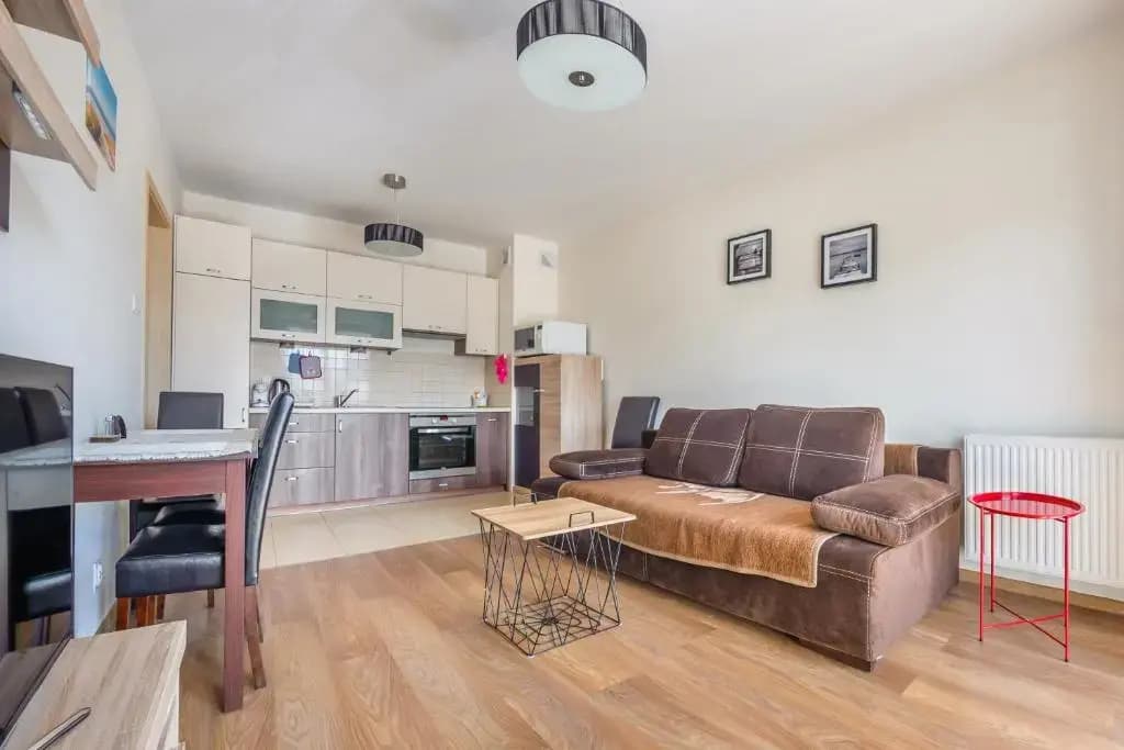 1 Bedroom Apartment