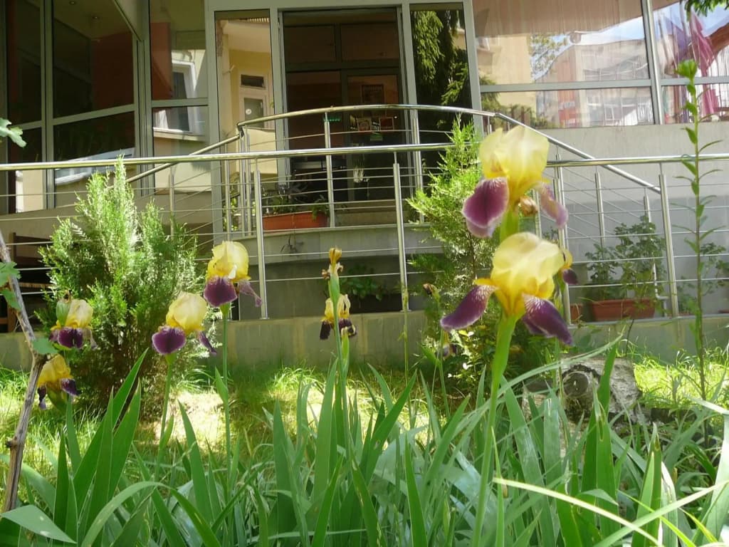 Hotel photo 11