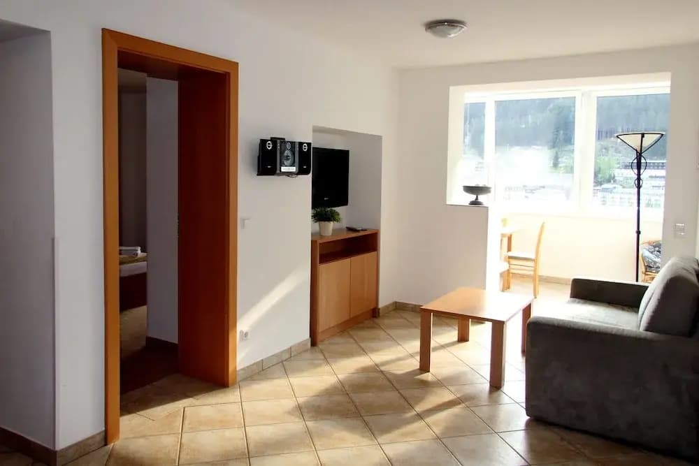 1 Bedroom Apartment with balcony and with city view
