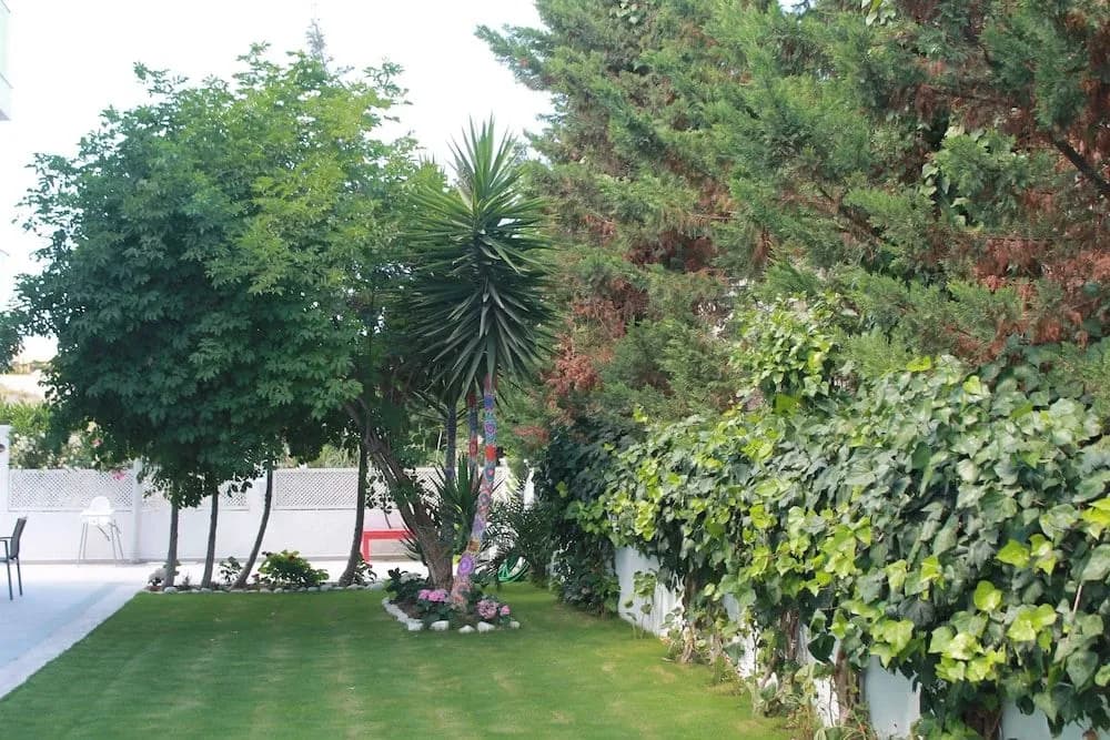 Hotel photo 25