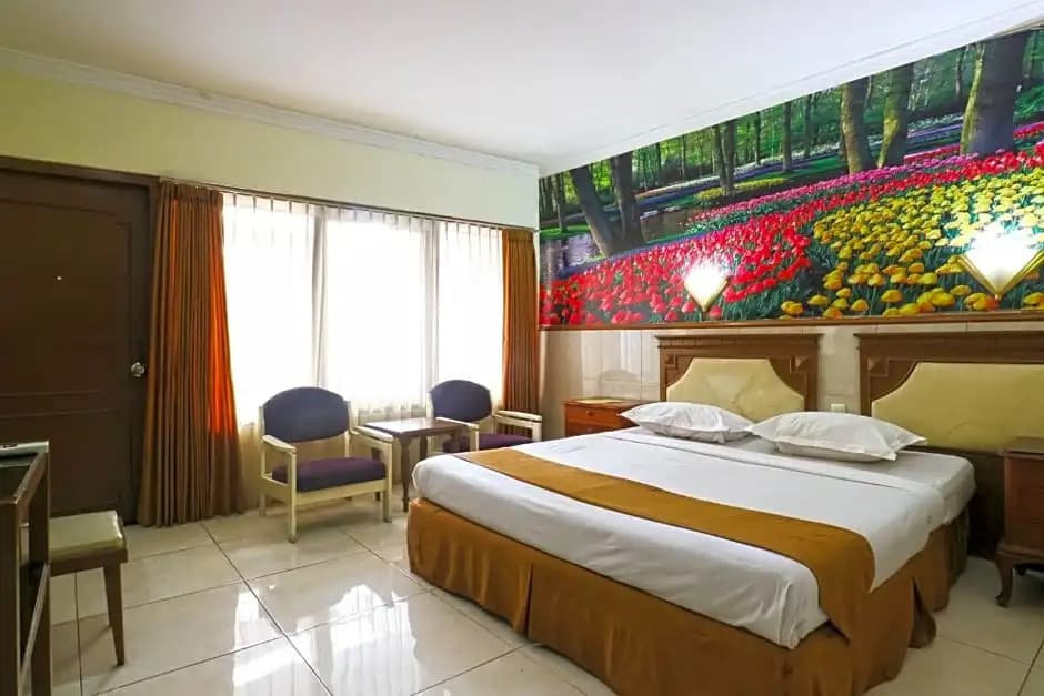 Deluxe Double room full double bed
