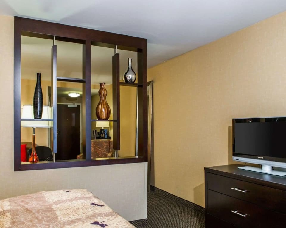 Business Double Suite full double bed