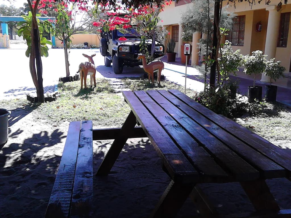 Hotel photo 12